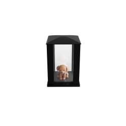 VPS01-21-30 - Vitrine porte souvenirs en granit